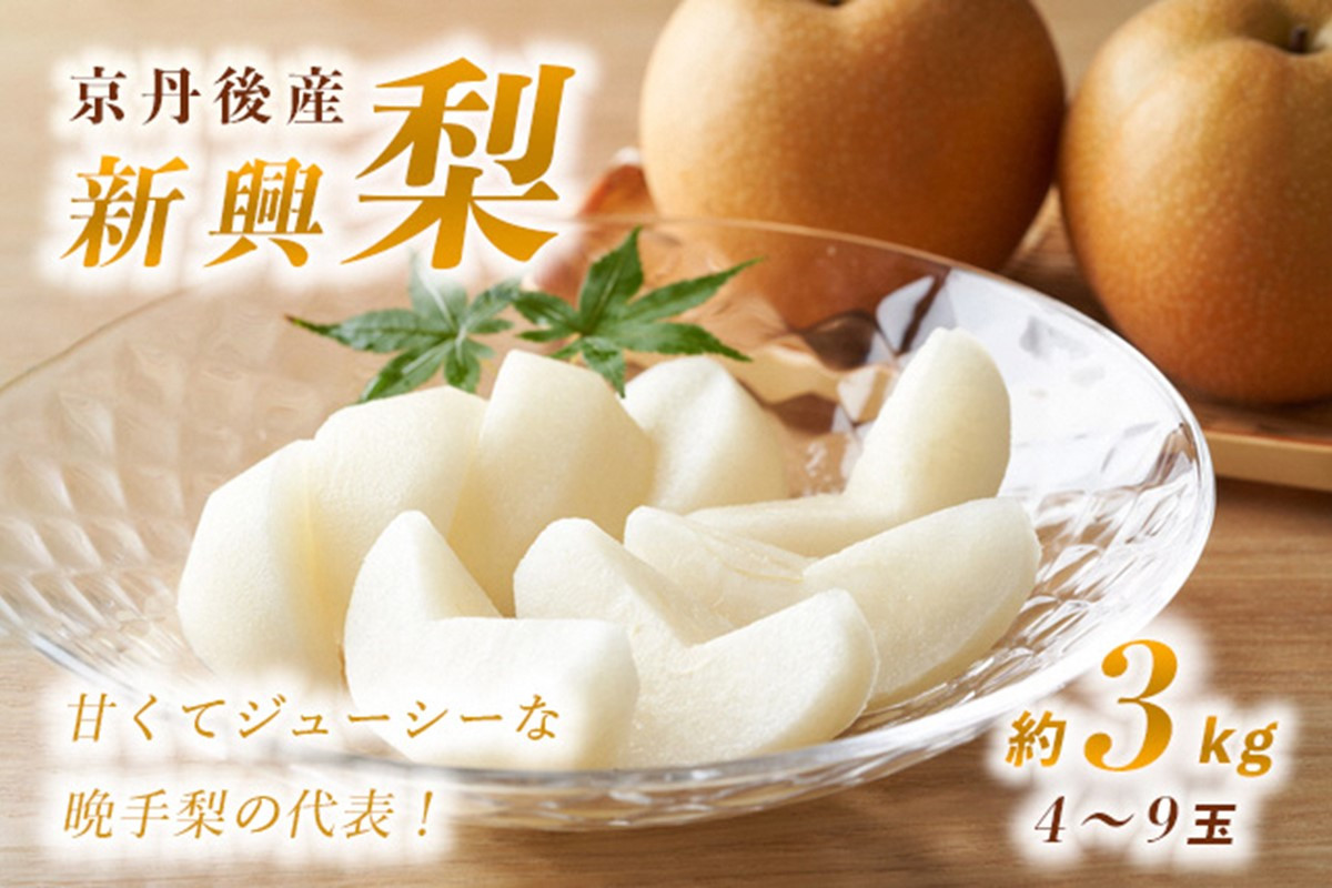 
            【先行予約】甘～ぃ！ジューシー！！晩生梨の代表 京丹後産 新興梨 3kg（4～9玉）（2025年10月中旬～発送）　国産 期間限定 デザート ふるさと 納税 梨 なし ナシ ふるさと 納税 先行予約 期間限定 ふるさと 納税 フルーツ くだもの 果物 赤梨　YK00057
          