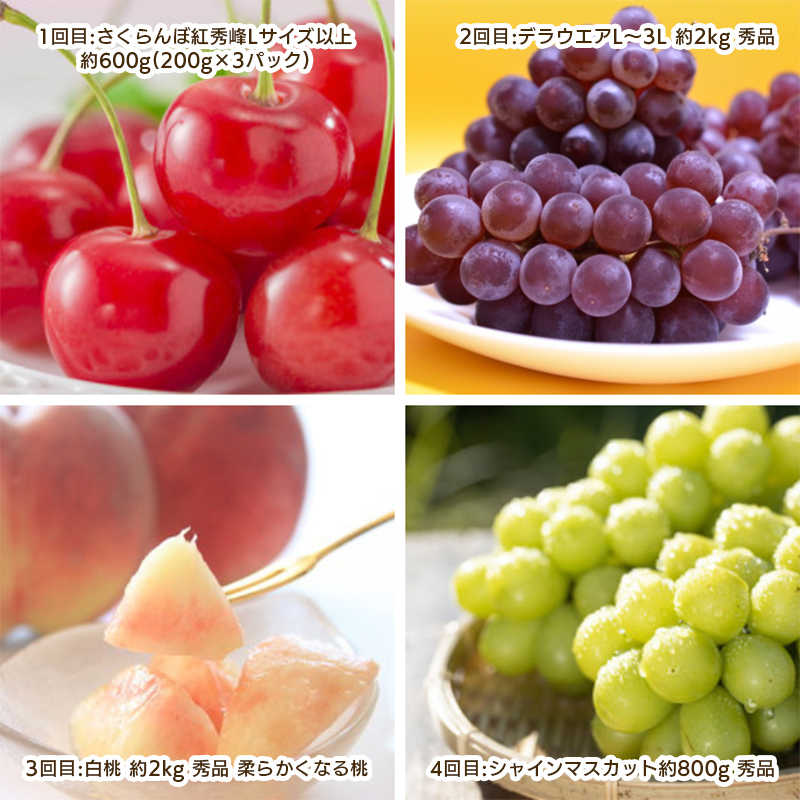 【定期便4回】やまがた 盛夏フルーツ定期便 FY25-044
