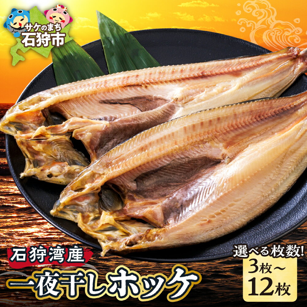 【ふるさと納税】《レビューキャンペーン》干物 ほっけ ホッケ　一夜干しホッケ（3枚〜12枚入り）　北海道 石狩市 いしかり 3枚 3人前 6枚 9枚 12枚 ほっけの干物 ホッケの干物 一夜干 干物セット 法華 ほっけの開き ホッケの開き ひらき 魚貝おいしい グルメ