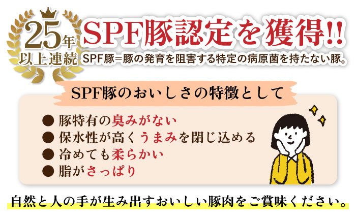 【12回定期便】やっちゃおいしか芳寿豚バラエティセット 総計36kg  / SPF豚 SPF認証 芳寿豚 豚肉定期便  豚肉 とんかつ バラ もも 豚 肉 定期便 肉定期便 / 南島原市 / 芳寿牧場