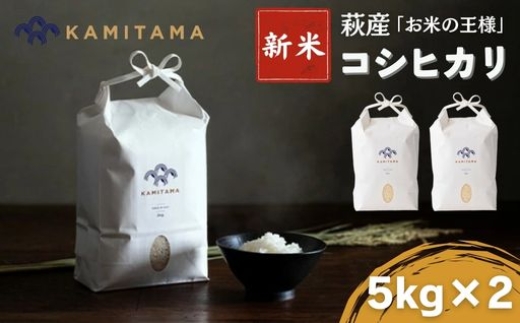 
            コシヒカリ 令和7年 5kg×2袋 セット 米 コメ こめ 萩産 KAMITAMA　｜HG000291
          