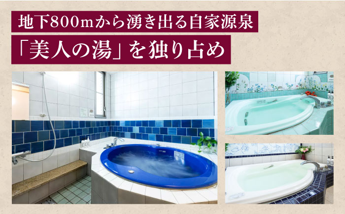 宿泊券 南道後温泉ホテルていれぎ館 1泊朝食付ペア宿泊券 特別客室 とべりて ルーム限定 / 宿泊券 ペア 1泊朝食付 温泉 ホテルていれぎ館 特別客室 とべりて / 愛媛県砥部町/株式会社プログレッ
