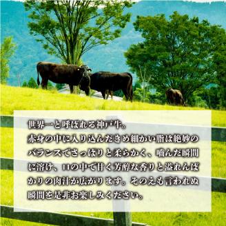 神戸牛サーロインステーキ（200g×3枚）《 肉 牛肉 牛 神戸牛 国産牛 サーロイン ステーキ 》【2407A00117】