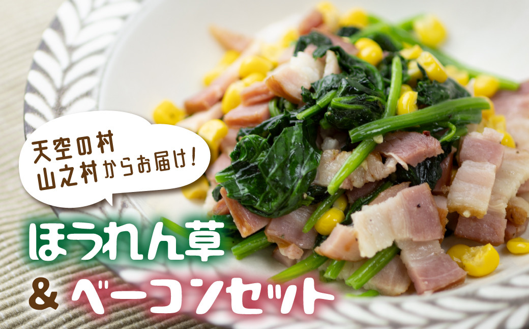 
            《先行予約》令和8年産【6月～10月発送】奥飛騨山之村 清水さんちのほうれん草180g×2・山之村牧場 スライスベーコン 100g セット 野菜 葉物野菜 ホウレンソウ ほうれんそう ベーコン 簡単調理 小分け 産地直送
          