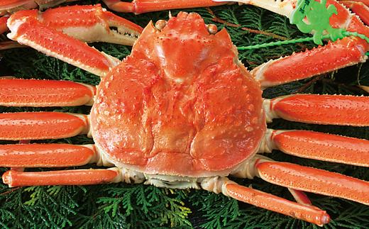 産地証明のタグ付き松葉ガニをお届けします。
本場の松葉ガニをご賞味ください。