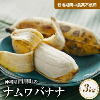 【ふるさと納税】西原町の栽培期間中農薬不使用のナムワバナナ2kg～10kg/3回定期便3kg【G1616143】