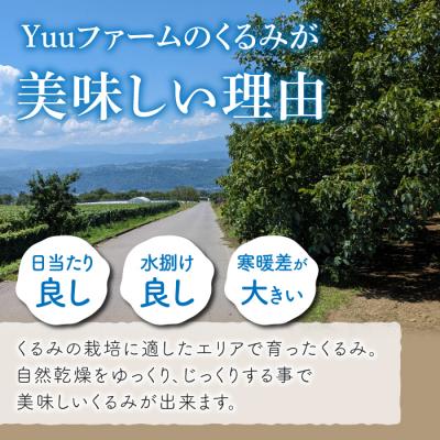 ふるさと納税 東御市 2025年産 長野県東御市産 殻付き信濃くるみ700g(品種 清香 350g,品種 東晃 350g) |  | 02