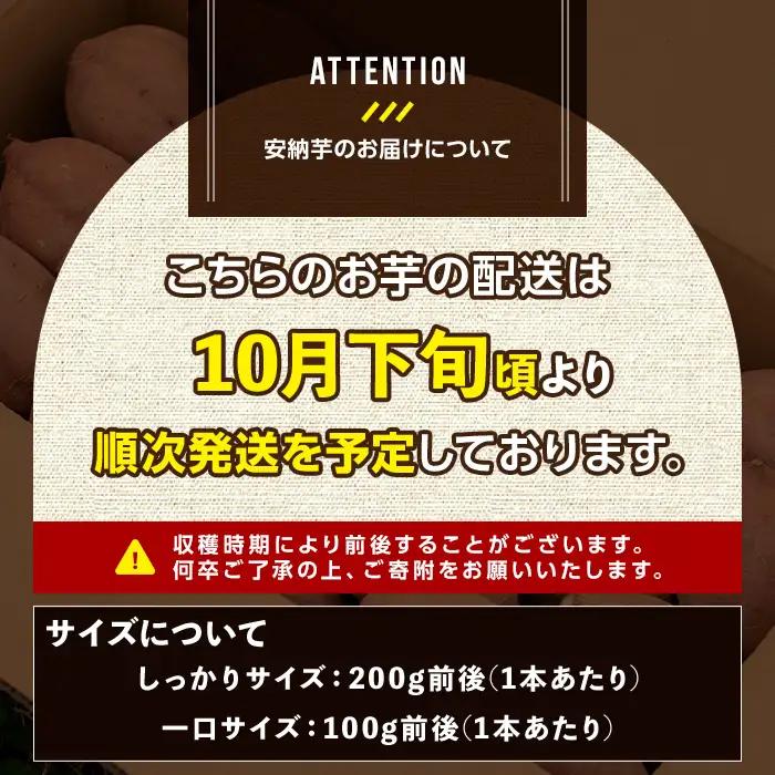期間限定 安納芋 6kg 黄金 種子島 さつま芋 セット 【なかたね農産】n331-z