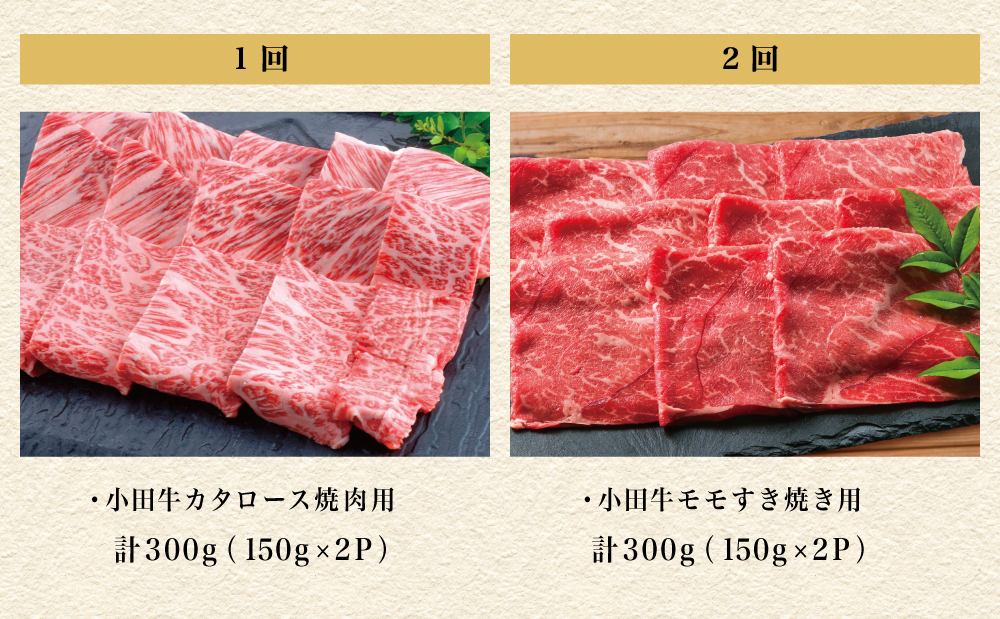 【全5回】プレミアムブランド「小田牛」定期便［肉三昧］鹿児島県産 黒毛和牛 ステーキ リブステーキ すき焼き 焼肉 カタロース カルビ モモ ソース 冷凍 小田畜産 南さつま市