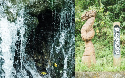 E3  【隔月6ヶ月定期便】【令和7年産】 隔月で届く国際大会金賞「みやま米」 各2kg×4袋_イメージ4