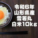 【ふるさと納税】【生産者の顔が見える米】雪若丸 白米 10kg 令和6年山形県飯豊町産 安全・安心・おいしいお米【1504960】