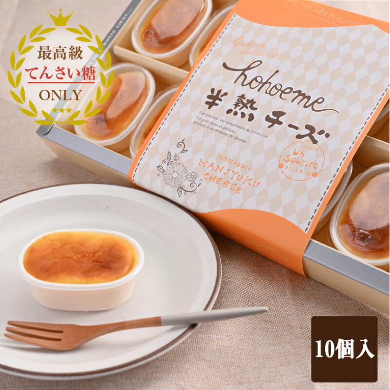 【ふるさと納税】半熟チーズ10個入り