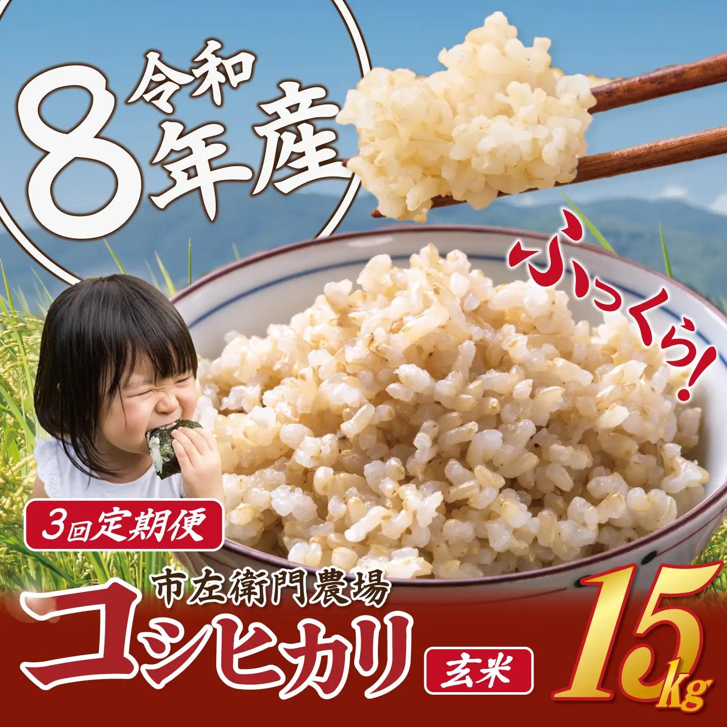 【 3ヵ月 定期便 】 米 令和8年産 コシヒカリ 15kg 玄米 こしひかり