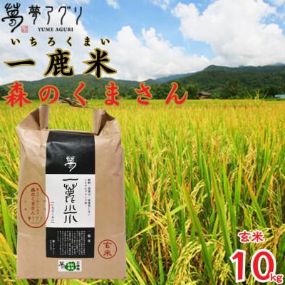 ふるさと納税 山鹿市 一鹿米 森のくまさん 栽培期間中肥料農薬不使用 米 玄米 10kg【株式会社 夢アグリ】《山鹿市》