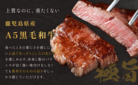 肉 牛肉 鹿児島県産 黒毛和牛 ヒレステーキ 2種盛り ステーキ サイコロ 240g A5等級 LRプラスK 《90日以内に出荷予定(土日祝除く)》 A5 鹿児島県 さつま町
