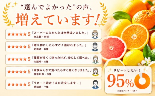 【早い者勝ち】 深い甘み 【デコ（不知火）（デコポンと同品種）】4kg 愛媛県産 【2027年1月下旬頃から順次発送】 | でこぽん しらぬい shiranui みかん ミカン mikan 蜜柑 訳あ