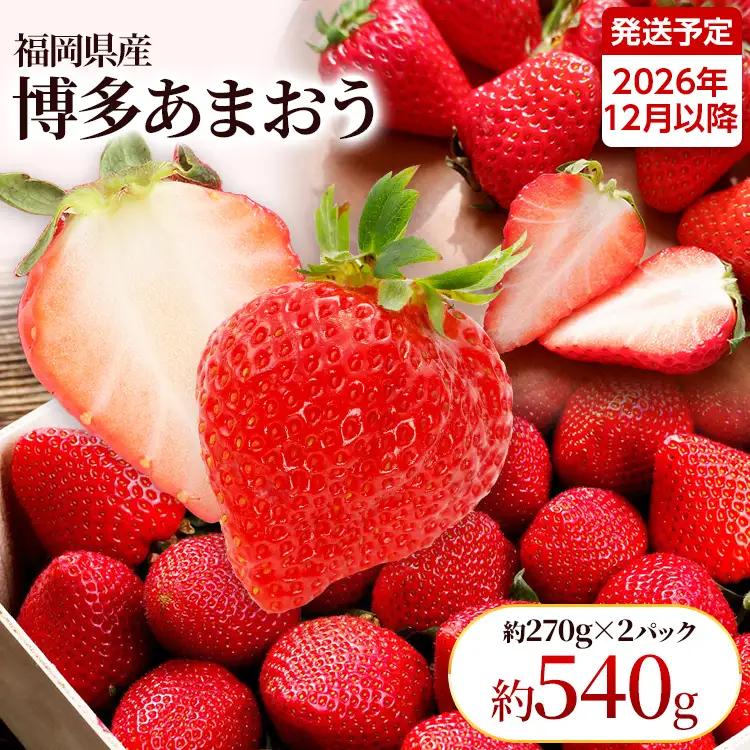 【先行受付】農家直送 朝採り新鮮いちご【博多あまおう】＜12月より順次発送＞ 約270g×2パック 福岡県産 苺 イチゴ 朝採れ 冷蔵 スイーツ ジュース ギフト プレゼント お土産 九州 福岡土産 ※北海道・沖縄・離島は配送不可