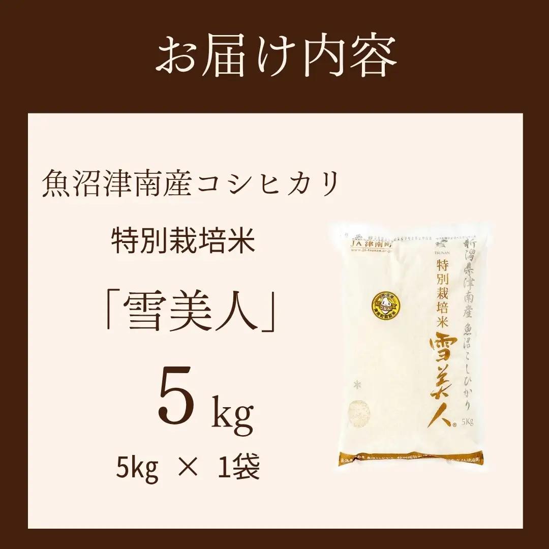 魚沼産コシヒカリ 特別栽培 雪美人  5kg  | 津南町 魚沼 令和7年