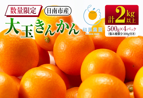 食べ応え抜群 大玉 きんかん 計2kg以上 傷み補償分付き 数量限定 期間限定 フルーツ 果物 くだもの 柑橘 金柑 先行予約 国産 希少 人気 おすすめ ジャム おやつ デザート 小分け おすそ分け 贈り物 ギフト 贈答 ご褒美 産地直送 宮崎県 日南市 送料無料 日南市からの贈り物特集_B233-24