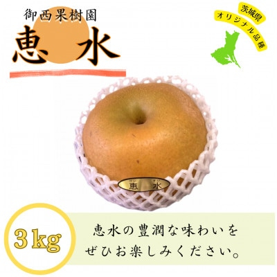 
＜農家直送＞梨 茨城県オリジナルブランド品種 恵水 大玉サイズ4～6個(約3kg)【1419047】
