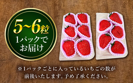 【先行予約】　超特大玉いちご 完熟 紅ほっぺ (350g×4パック) いちご 果物 フルーツ 愛西市/はしもと園芸[AECD002]