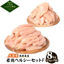 【ふるさと納税】大容量 熊本県産 若鶏ヘルシーセットF 合計8kg ささみ むね肉 各2kg×2袋 鶏肉 鳥肉 ササミ 胸肉 お肉 国産 九州産 冷凍 大容量 送料無料