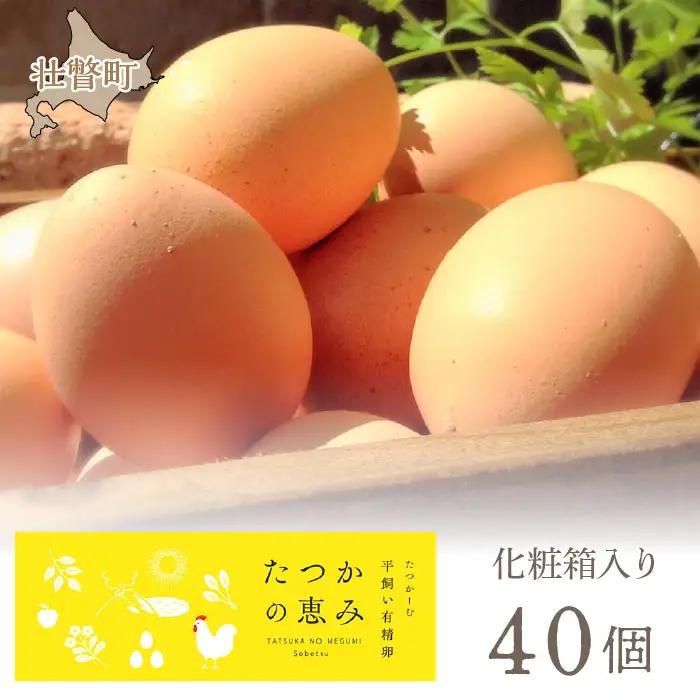平飼い有精卵『たつかの恵み』 SBTT011