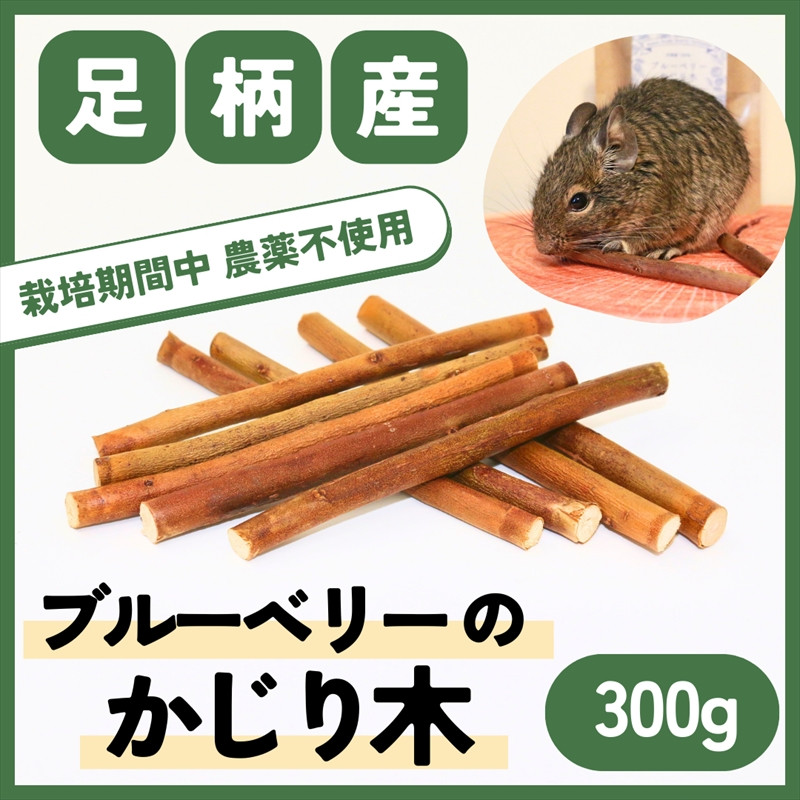 
【小動物ペットに】足柄産ブルーベリーのかじり木300g（お得パック）【 ペット 神奈川県 南足柄市 】
