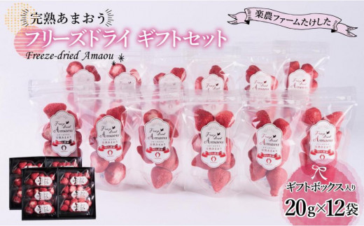 
            形も味もそのまま楽しめる！完熟あまおう【フリーズドライギフトセット】 (20g×12袋)【あまおう 食品 あまおう フルーツ あまおう 果物 苺くだもの いちご 食品 イチゴ 人気 あまおう おすすめ 送料無料 福岡県 大川市 AA048】
          