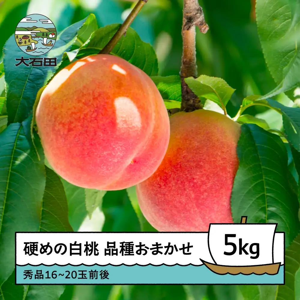 【先行予約】 桃 もも 硬めの白桃 品種おまかせ 5kg 山形県産 2026年産 令和8年産 フルーツ 果実 送料無料 ry-mohth5000