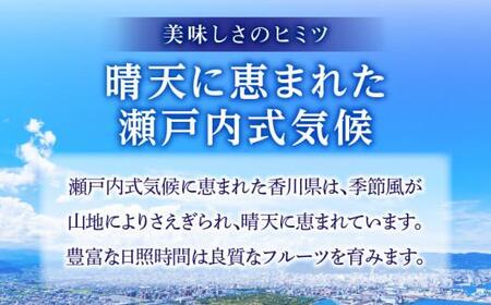 さぬきエンジェルスイート 約2.2kg【2024年11月中旬～2025年1月中旬配送】【T006-034】