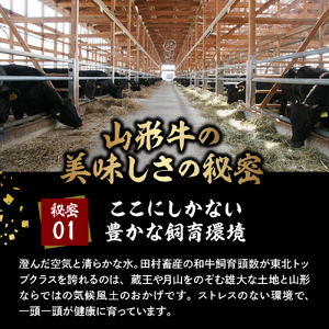 2026年6月7日開催　第23回果樹王国ひがしねさくらんぼマラソン大会出走権 +山形牛ロースステーキ焼肉用(約400g) hi007-005-009