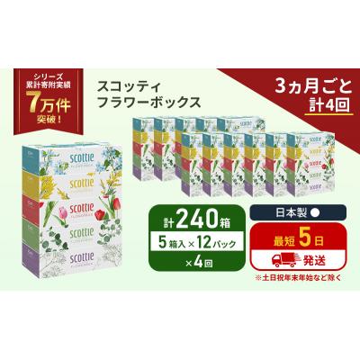 ふるさと納税 岩沼市 定期便 ティッシュ スコッティ240箱 (5箱×12P)《計4回》[No.5704-1138] |  | 01