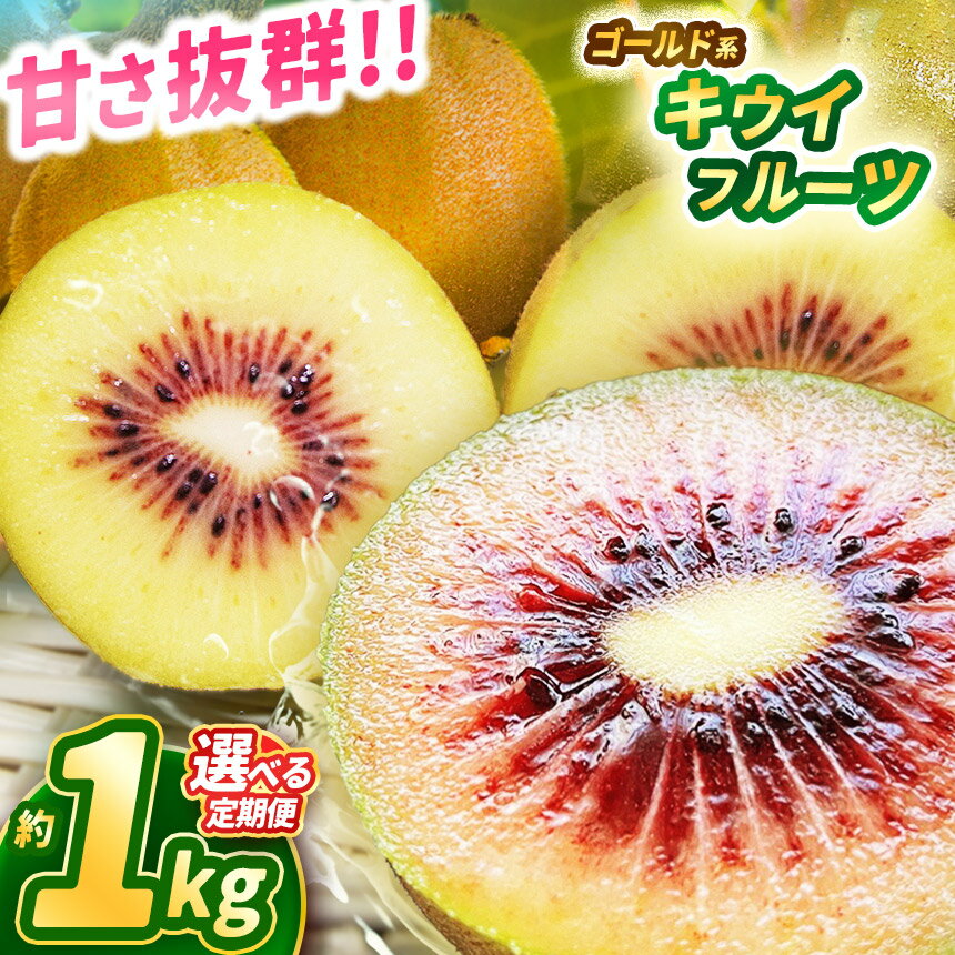 【2025年先行予約】【ふるさと納税】甘さ抜群のゴールド系 キウイフルーツ 1kg | 果物 くだもの フルーツ 野菜 やさい ヤサイ キウイ きうい ゴールドキウイ 新鮮 フレッシュ 甘い 美味しい フルーツ デザート 栃木県 那珂川町 送料無料 ジューシー ご褒美