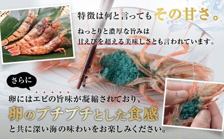 【先行予約】幻の逸品 モサエビ(生） 1kg　※北海道、沖縄、一部離島への配送不可