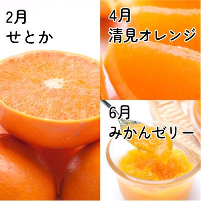 ふるさと納税 広川町 【発送月固定定期便】家庭用 柑橘定期便M(偶数月)全6回 |  | 02