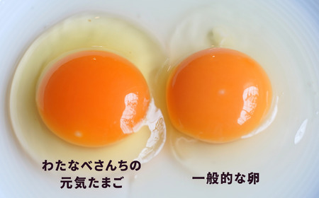 卵 朝採り 新鮮！ たっぷり40個(36個＋割れ補償4個) 濃厚で美味しい卵 わたなべさんちの元気たまご 20個×2パック  新潟 糸魚川 卵 たまご  