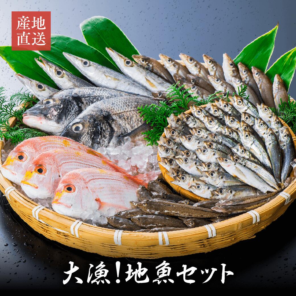 【ふるさと納税】獲れたら発送 魚 鮮魚 詰合せ 8~12匹 (2.5~3キロ) セット 新鮮 産地直送 地魚 旬 魚介 送料無料