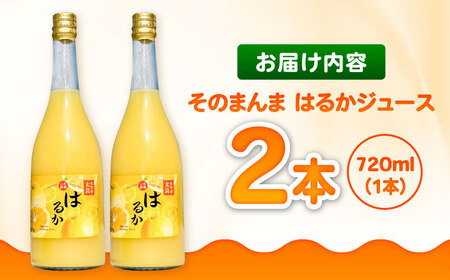 そのまんま はるかジュース 720ml×2本 みかんジュース / 佐賀県 / 山本農園 [41ATBT015]