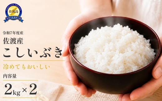 【こしいぶき 4kg】令和7年産 佐渡産こしいぶき 2kg×2袋 精米 川上農産 | 新潟県産こしいぶき 新潟産こしいぶき 新潟こしいぶき 佐渡島産こしいぶき 佐渡産こしいぶき お米 米 こしいぶき コシイブキ 白米 精米 おこめ コメ 2キロ 小分け にいがた さど 新潟県 佐渡市