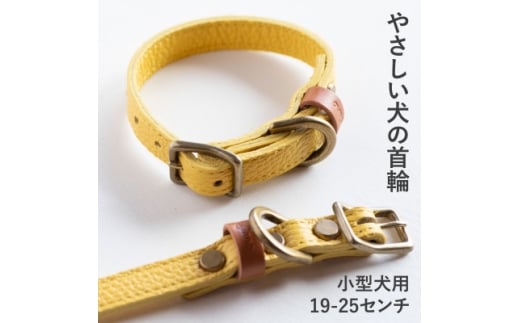 首輪 本革 イタリアンレザー イエロー 小型犬用 (19-25センチ)ペット用品＜dc-01ss＞【1661870】