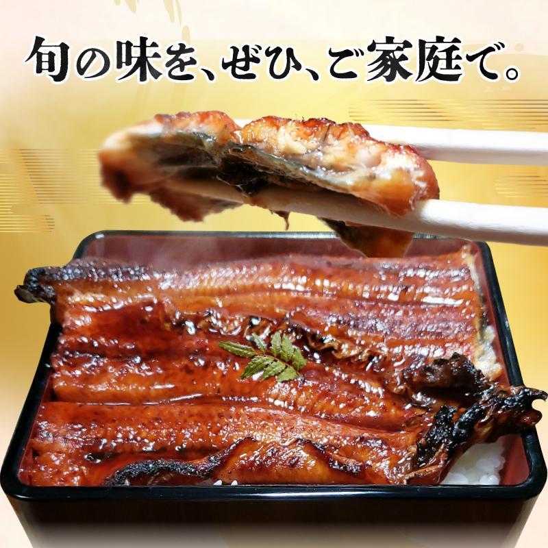 【お歳暮ギフト】源内 うなぎの蒲焼 3尾 ( 150g × 3尾 ) 香川県産 ｜ うなぎ 蒲焼 たれ・粉山椒付き