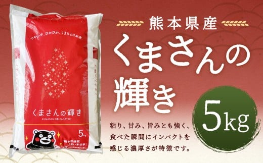 【令和7年産】 くまさんの輝き5kg 【2026年9月下旬迄発送予定】 お米 白米  ご飯 国産 単一原料米 熊本県 人吉市