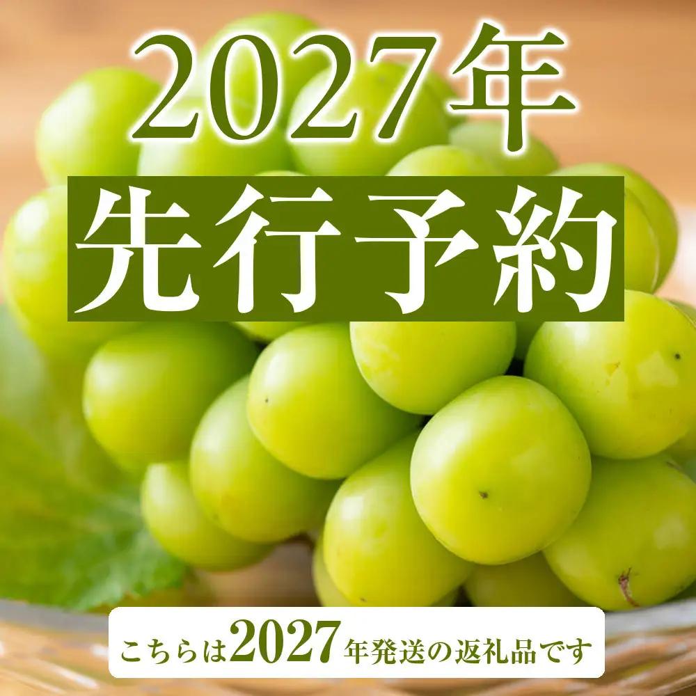 ぶどう 2027年 先行予約 岡山県産 朝採れ シャインマスカット 2房（1kg以上）・シャインマスカットのドライフルーツ 40g×2袋 セット | フルーツ 果物 くだもの 朝採れ ドライフルーツ 
