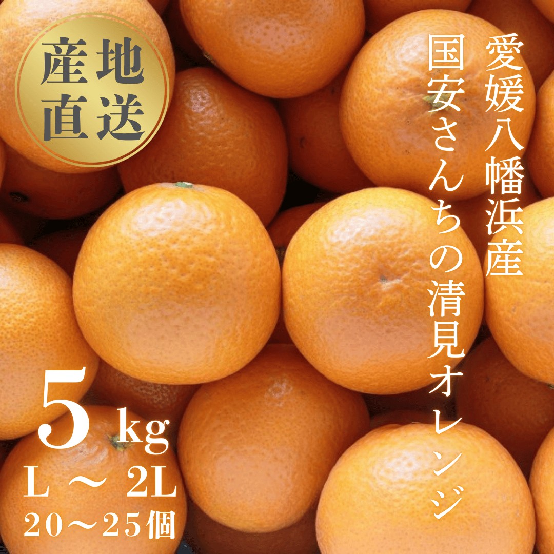
                  ＜まるで食べるジュース!越冬完熟品＞愛媛産 清見オレンジ 5kg＜D20-38＞【1594848】 YWTI033
                