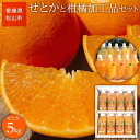 【ふるさと納税】 ＜ご家庭用＞先行予約 愛媛産 せとか5kg 柑橘加工品セット | みかん 先行予約 柑橘 果物 くだもの フルーツ お楽しみ お取り寄せ グルメ 期間限定 数量限定 人気 おすすめ ギフト 愛媛県 松山市