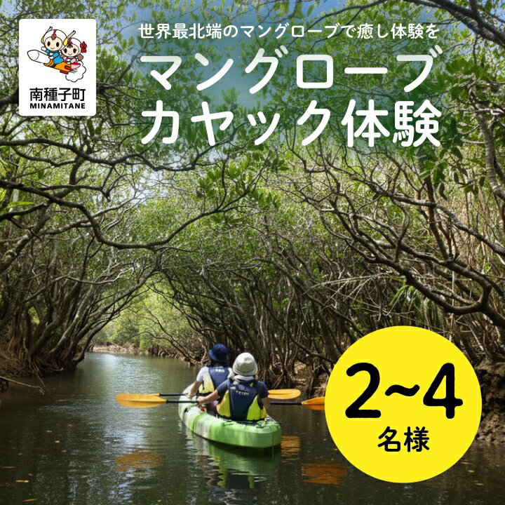 【ふるさと納税】《マングローブカヤック体験》BLUE PEACE種子島 最高のロケーション カヤック 返礼品 南種子町 鹿児島 かごしま 【BLUE PEACE種子島】