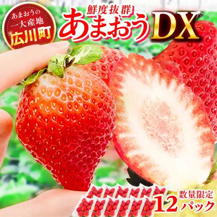 【★先行予約★ 2027年2月より発送】あまおう DX等級 6ケース（250g×12P）[AFAB006] いちご