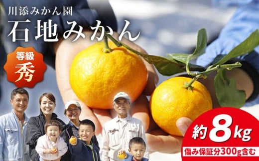 みかん 【12月上旬より配送】 石地みかん/秀品 約8kg（傷み保証300g含む）  みかん ミカン 西海 みかん 西海市 みかん 贈答 ギフト  ＜川添みかん園＞ [CCT007]