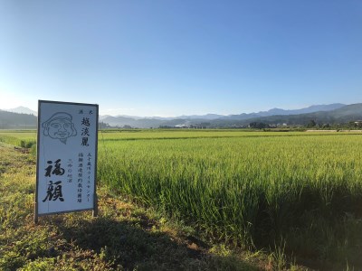 「福福」日本酒飲み比べセット（純米吟醸720ml×2本） 新潟県 日本酒 超辛口 純米吟醸 [福顔酒造] 【010S095】